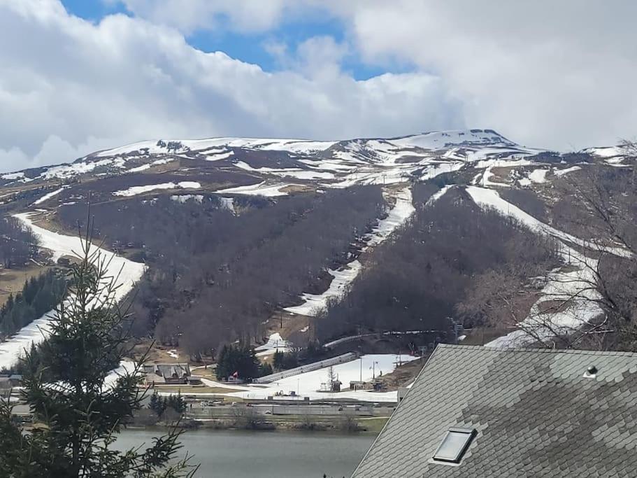 Apartment Super 5/6 Pers. Vue Sur Les Monts Du Cantal Besse-et-Saint-Anastaise
